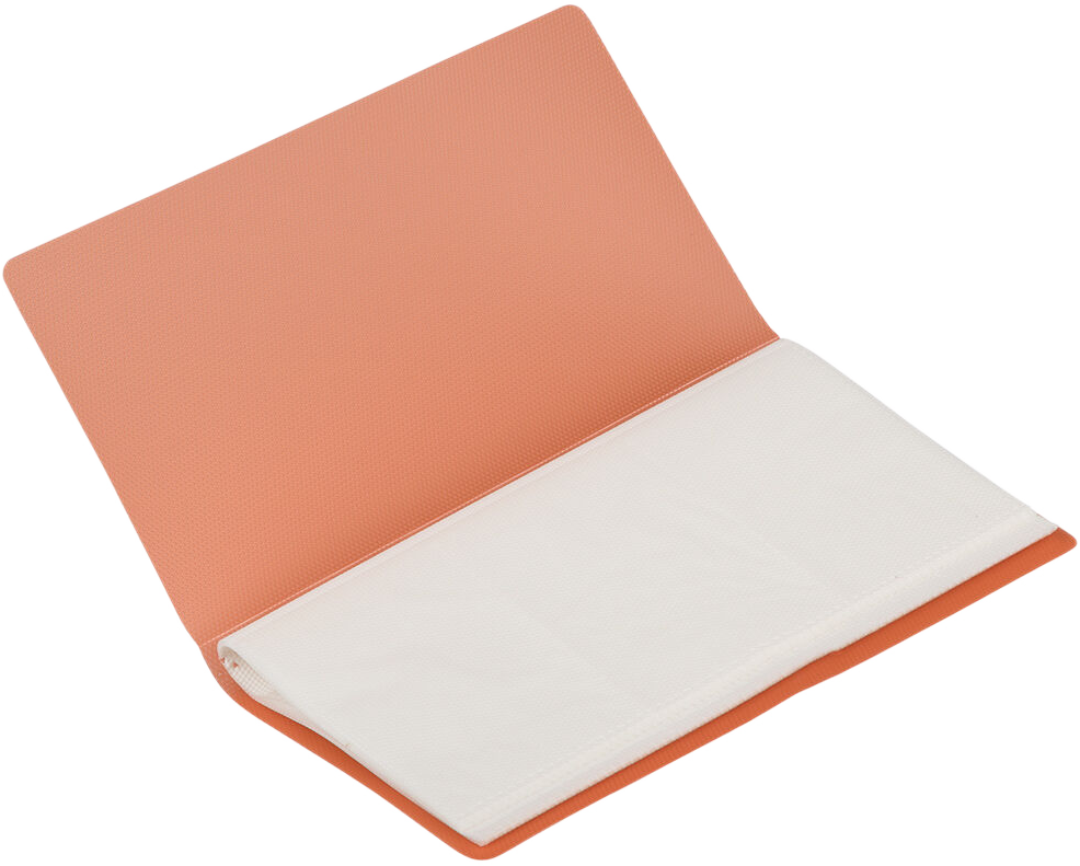 Orange Business Card 12 Page Book - 72 Card Capacity