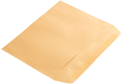 Gold Metallic 32lb 9 x 12 Booklet Envelopes