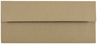 Grocery Bag 28lb #10 Square Flap Envelopes (4 1/8 x 9 1/2)