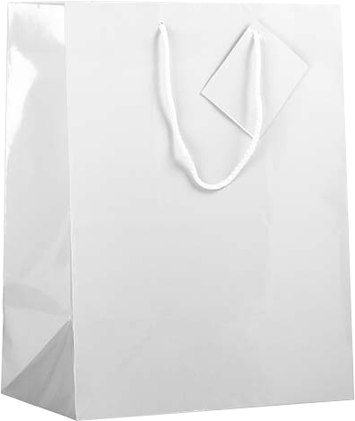 White Large Glossy Gift Bags (10 x 13 x 5)
