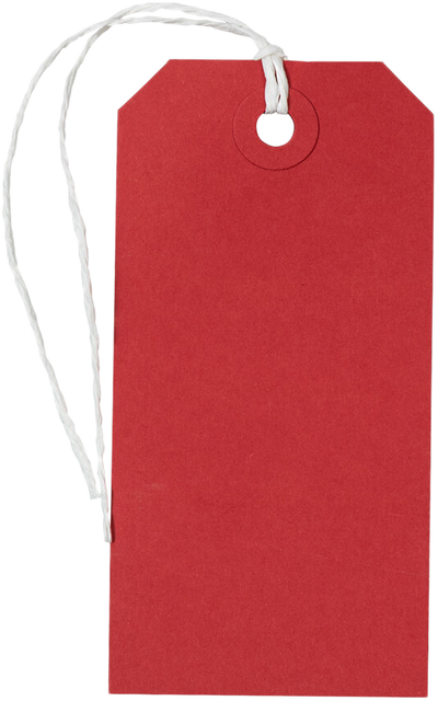 Red Medium Gift Tags (4 1/4 x 2 3/8) - 10 Pack