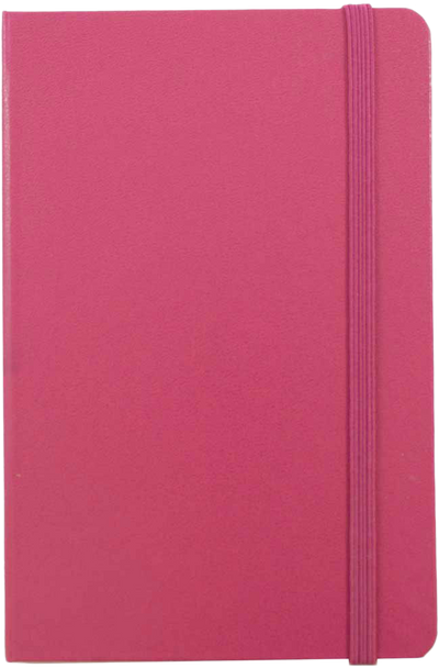 Pink Berry Large 5 7/8 x 8 1/2 Notebooks (70 Dotted Pages)