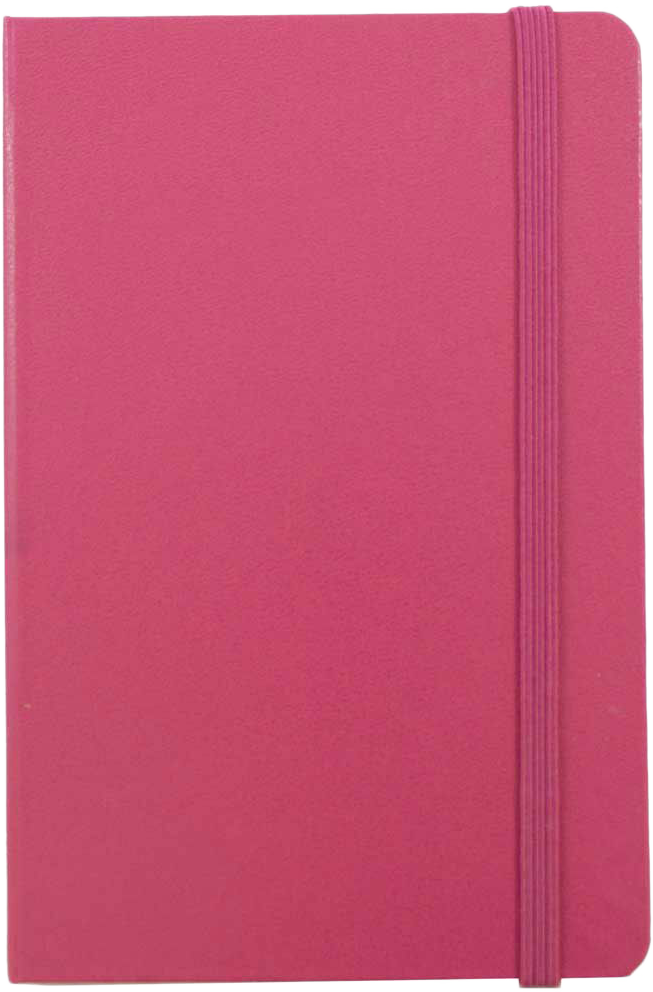 Pink Berry Large 5 7/8 x 8 1/2 Notebooks (70 Dotted Pages)