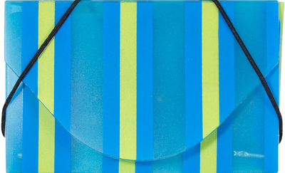 Blue and Yellow Stripe Plastic Business Card Case - 20 Card Capacity