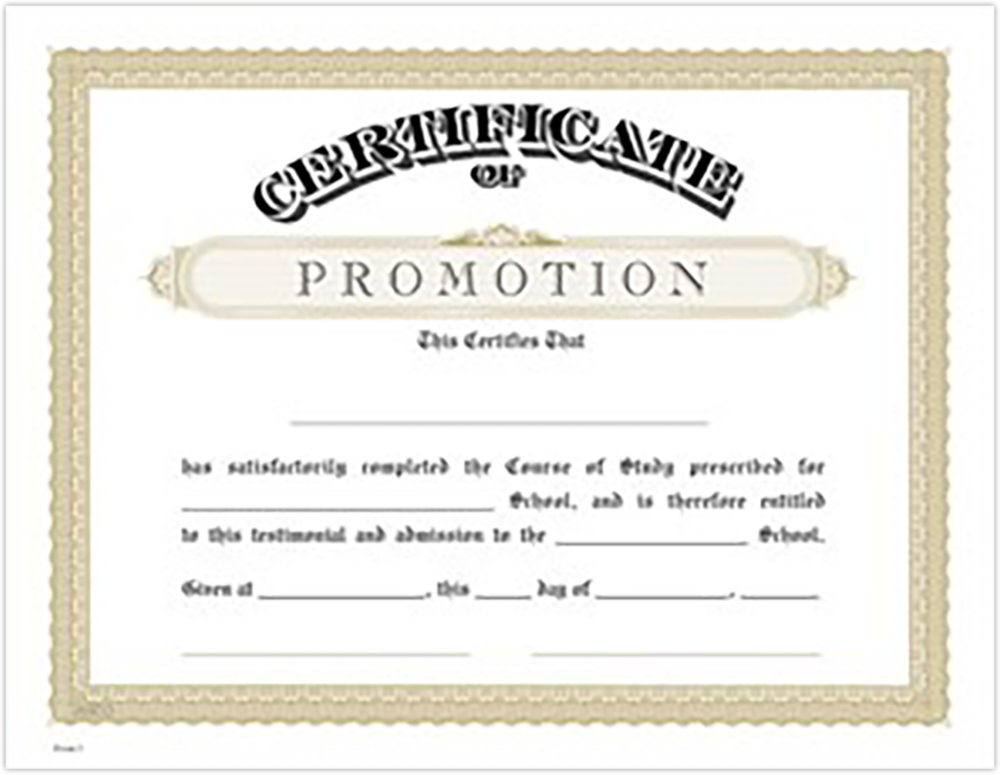 Gold Promotion 8 1/2 x 11 Certificate
