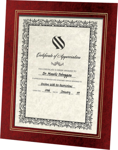 Red 10 3/4 x 13 Certificate Document Frame with Easel