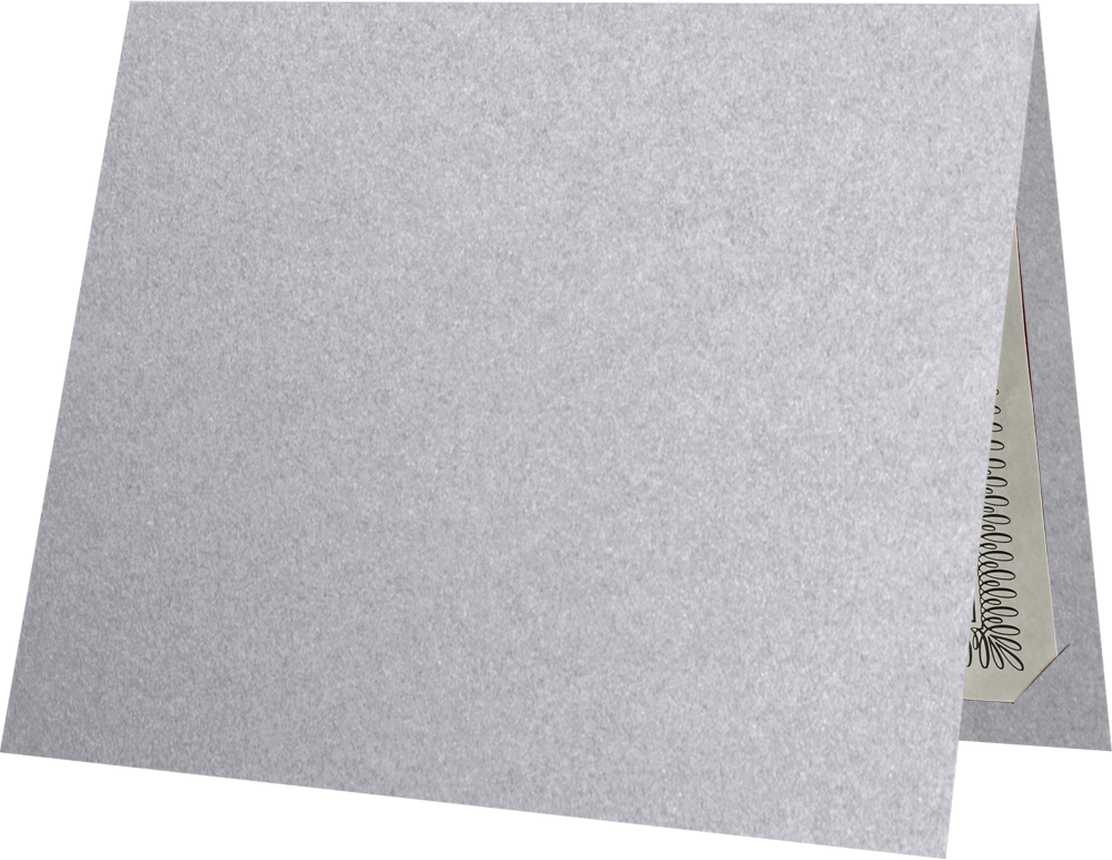 Silver Metallic 9 1/2 x 12 Certificate Holders