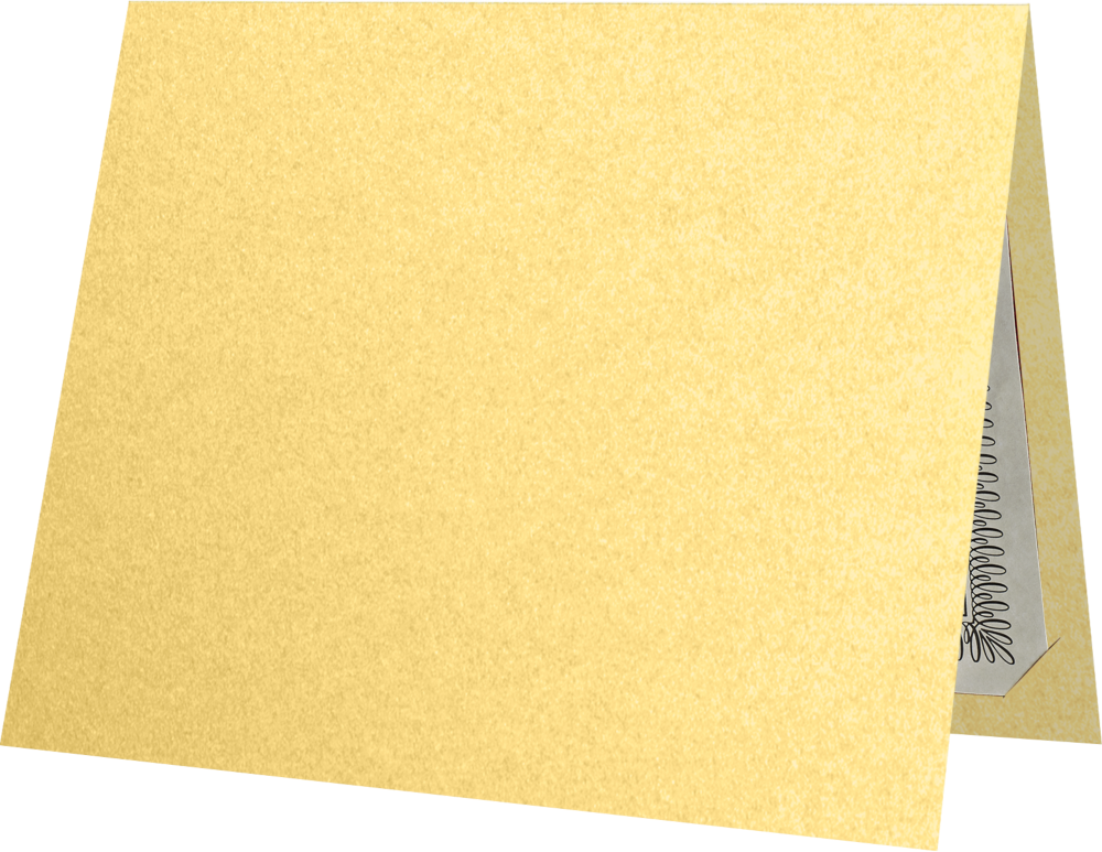 Gold Metallic 9 1/2 x 12 Certificate Holders
