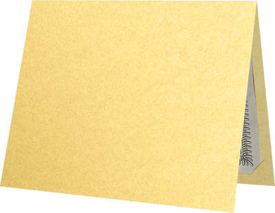 Gold Metallic 9 1/2 x 12 Certificate Holders