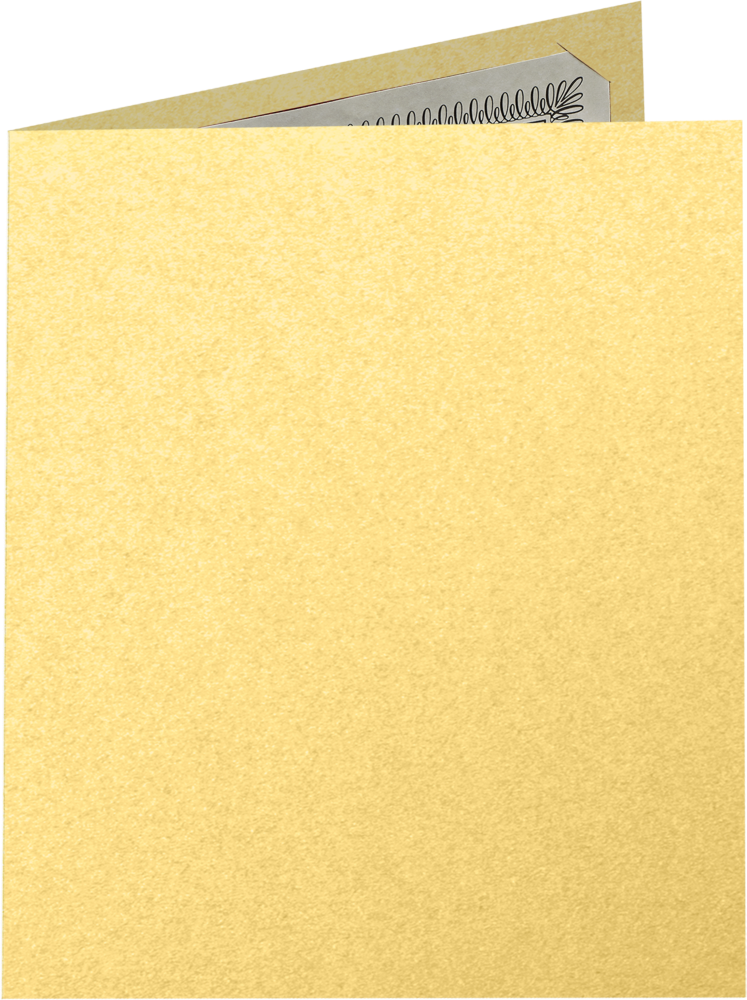 Gold Metallic 9 1/2 x 12 Certificate Holders