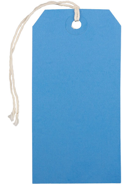 Blue Medium Gift Tags (4 1/4 x 2 3/8) - 10 Pack