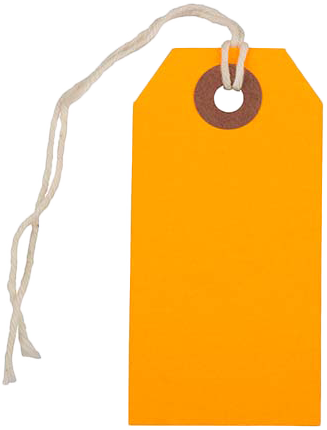 Neon Orange Small Gift Tags (3 1/4 x 1 5/8) - 10 Pack