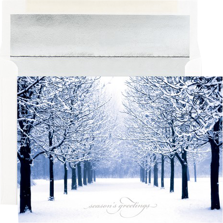 Blue Tree Scene Christmas Cards - 25 Pack