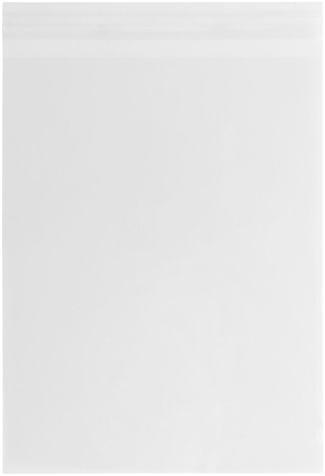 Clear 1.6mil 11 1/4 x 14 1/4 Cello Envelopes with Peel & Seal