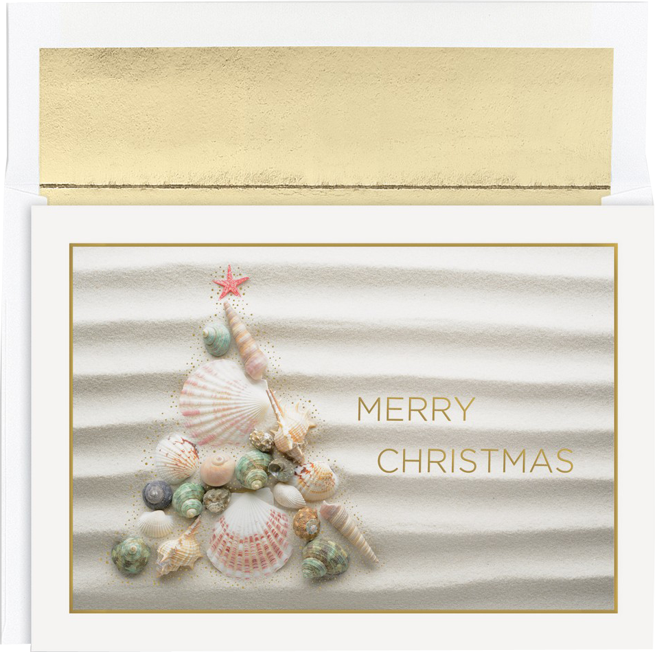Shell Christmas Tree Christmas Cards - 16 Pack