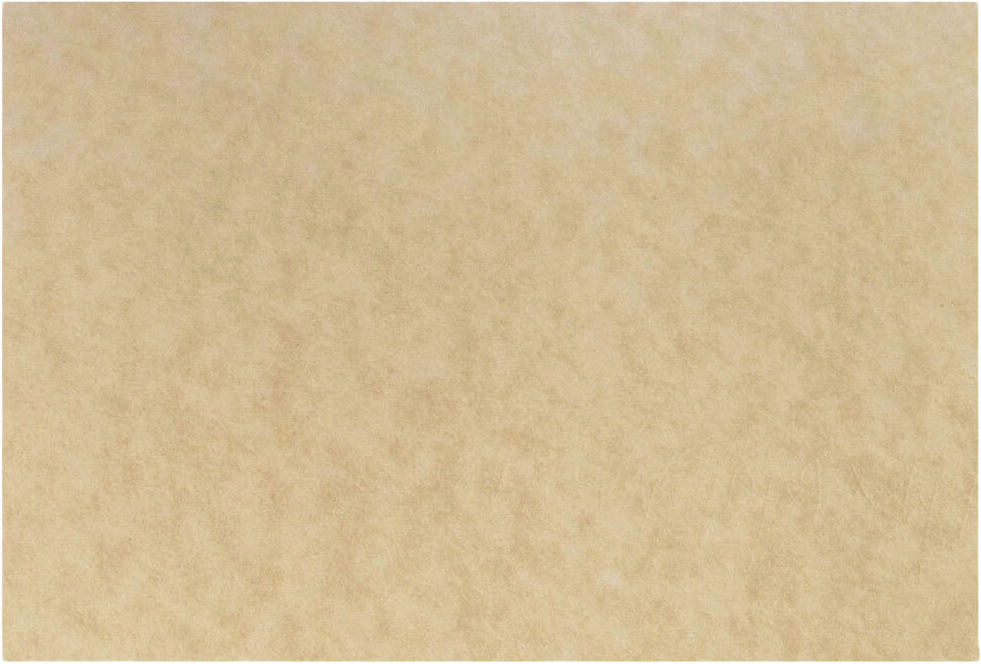 Brown Parchment 65lb 4 x 6 Blank Note Cards