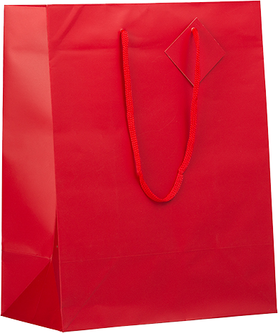 Red Large Matte Gift Bags (10 x 13 x 5)