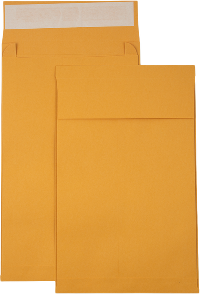 Brown Kraft 40lb 10 x 15 x 2 Open End Envelopes with Peel & Seal
