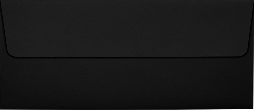 Assorted Darks #10 (4 1/8 x 9 1/2) Envelopes - 125 Pack