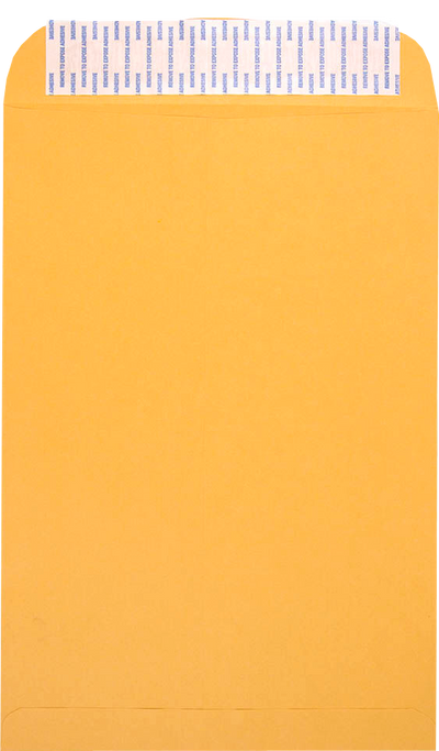 Brown Kraft 28lb 10 x 15 Open End Envelopes with Peel & Seal