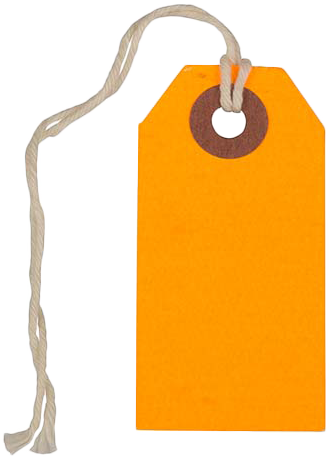 Neon Orange Tiny Gift Tags (2 3/4 x 1 3/8) - 10 Pack