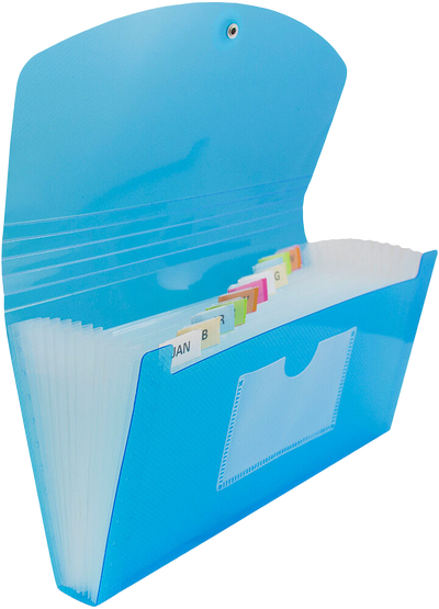 Blue Check Size 13 Pocket Expanding Files (5 x 10 1/2)