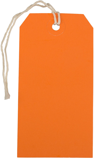 Orange Medium Gift Tags (4 1/4 x 2 3/8) - 10 Pack