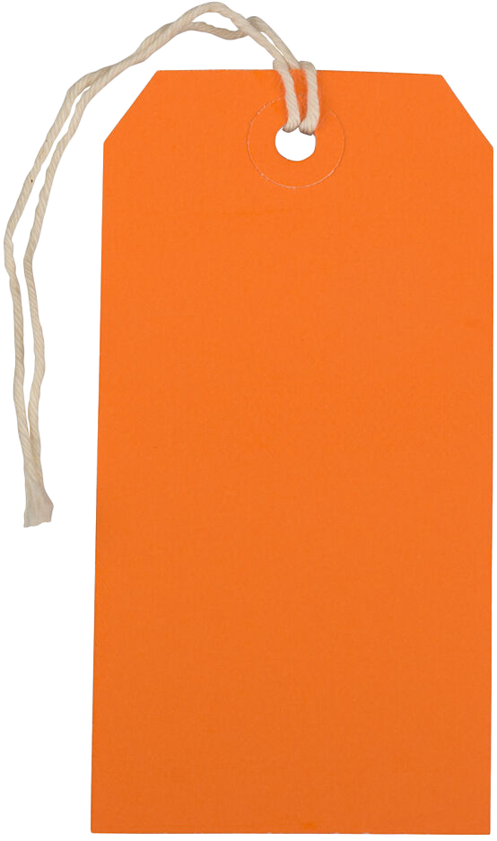 Orange Medium Gift Tags (4 1/4 x 2 3/8) - 10 Pack