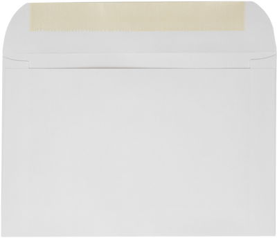 White 28lb 6 x 9 Full Face Window Envelopes