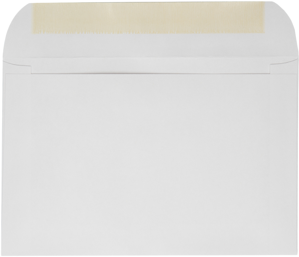 White 28lb 6 x 9 Full Face Window Envelopes