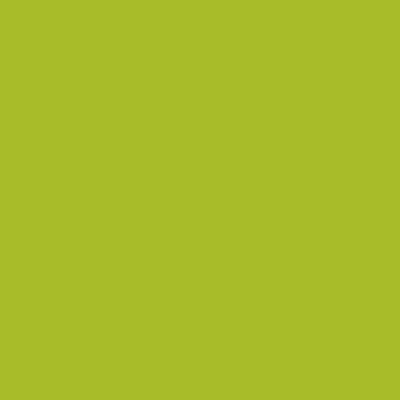 Lime Green Glossy Wrapping Paper Set (100 Sq Ft) - 4 Rolls