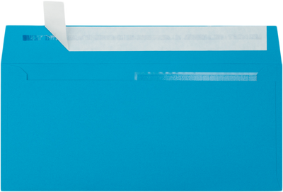 Pool Blue 32lb #10 Invoice Double Window (4 1/8 x 9 1/8) Envelopes with Peel & Seal