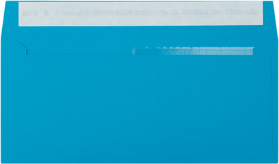 Pool Blue 32lb #10 Invoice Double Window (4 1/8 x 9 1/8) Envelopes with Peel & Seal