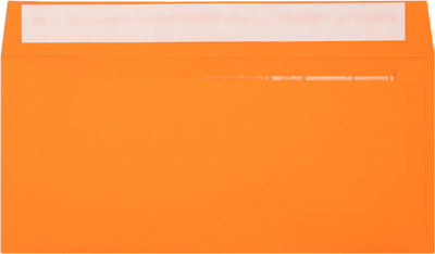 Mandarin Orange 32lb #10 Invoice Double Window (4 1/8 x 9 1/8) Envelopes with Peel & Seal