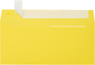 Citrus Yellow 32lb #10 Invoice Double Window (4 1/8 x 9 1/8) Envelopes with Peel & Seal