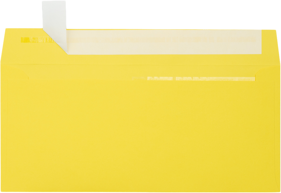 Citrus Yellow 32lb #10 Invoice Double Window (4 1/8 x 9 1/8) Envelopes with Peel & Seal