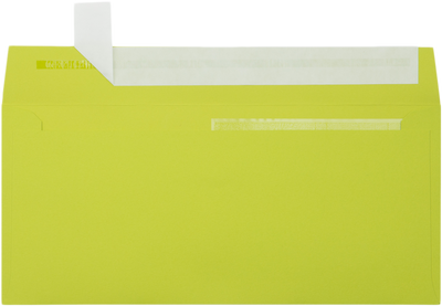 Wasabi Lime Green 32lb #10 Invoice Double Window (4 1/8 x 9 1/8) Envelopes with Peel & Seal