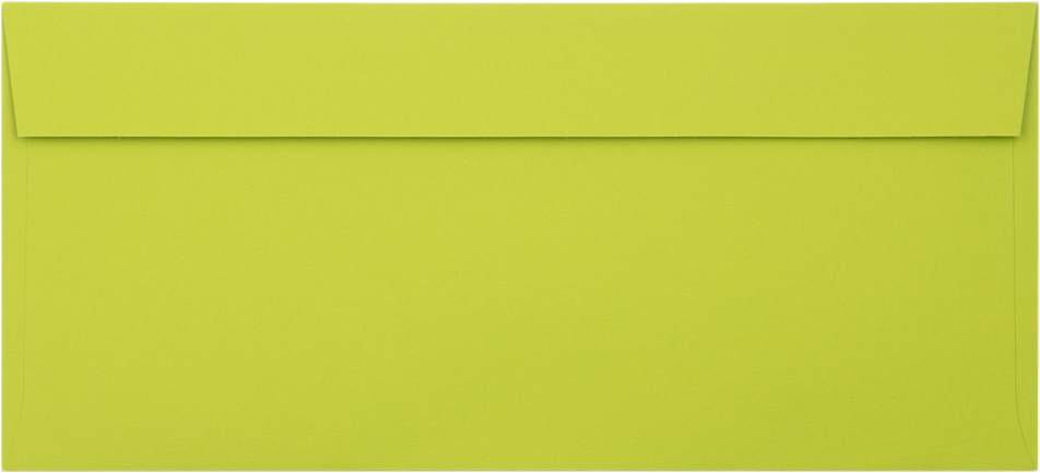 Wasabi Lime Green 32lb #10 Invoice Double Window (4 1/8 x 9 1/8) Envelopes with Peel & Seal
