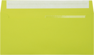 Wasabi Lime Green 32lb #10 Invoice Double Window (4 1/8 x 9 1/8) Envelopes with Peel & Seal