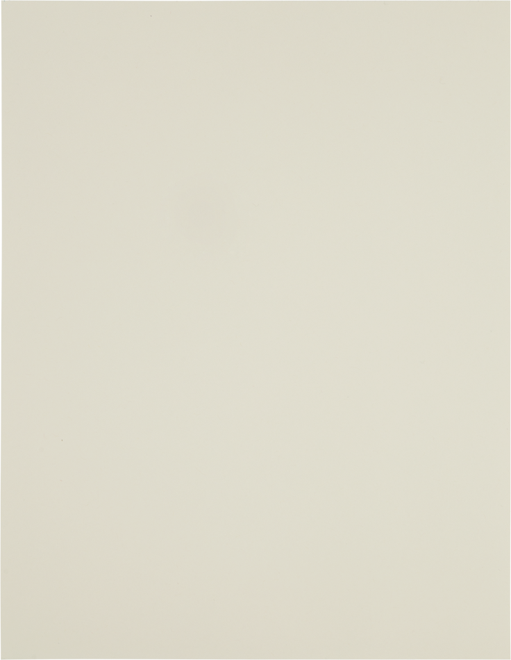 Ivory 8 1/2 x 11 Full Sheet Shipping Labels