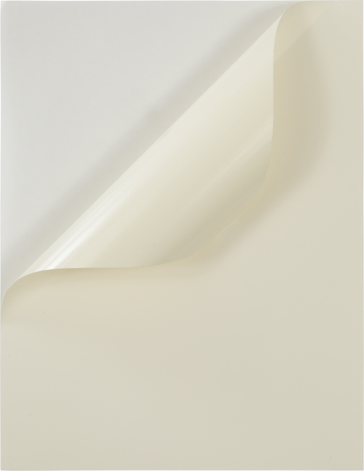 Ivory 8 1/2 x 11 Full Sheet Shipping Labels