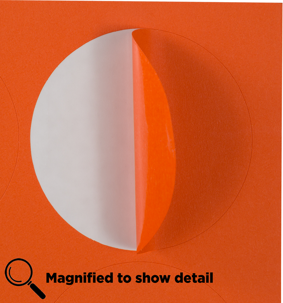 Orange Large 2 1/2 Inch Round Labels
