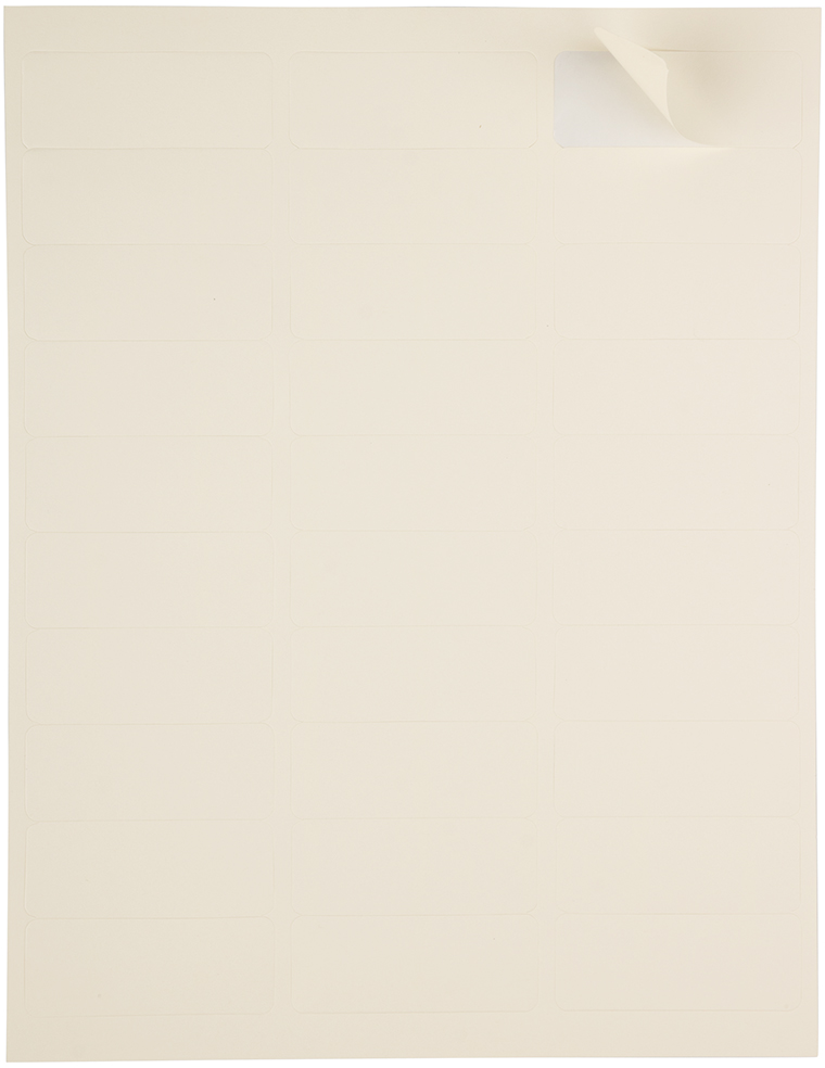 Ivory 1 x 2 5/8 Return Address Labels