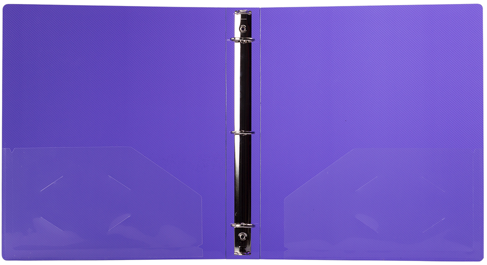 Purple Plastic 1 Inch 3-Ring Binder