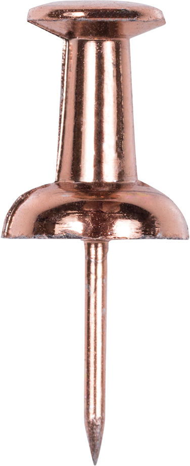 Rose Gold Pushpins - 100 Pack