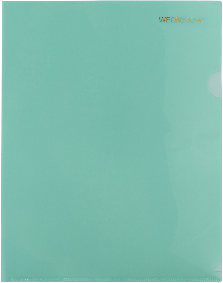 Assorted Days of the Week 9 x 11 1/2 Plastic Sleeves - 5 Pack