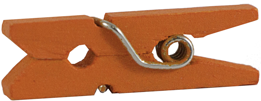 Orange Small 7/8 Inch Wood Clips - 50 Pack