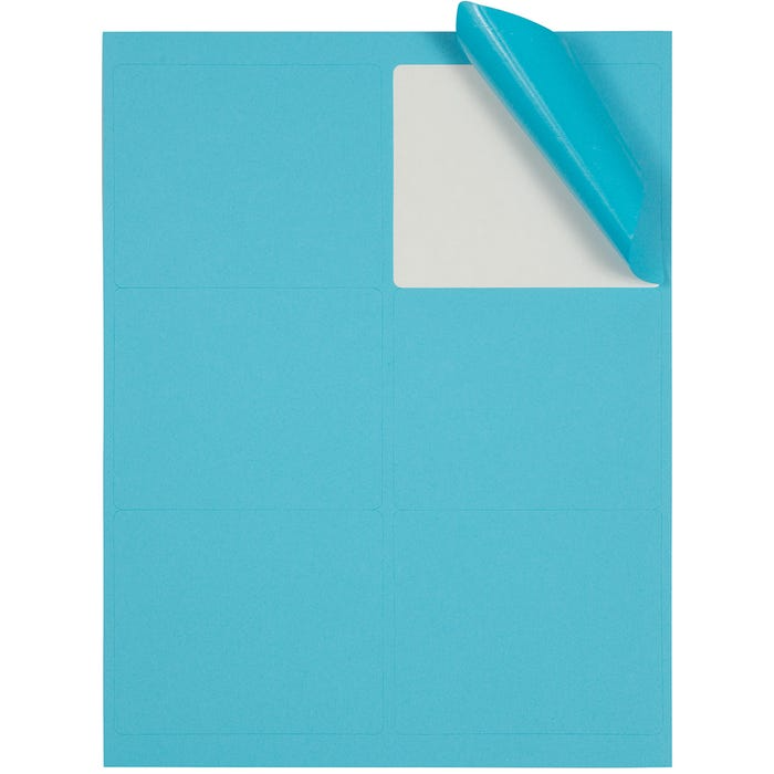 Assorted 3 1/3 x 4 Shipping Labels