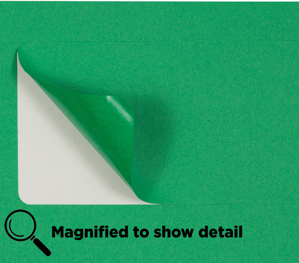 Green 2 x 4 Address Labels