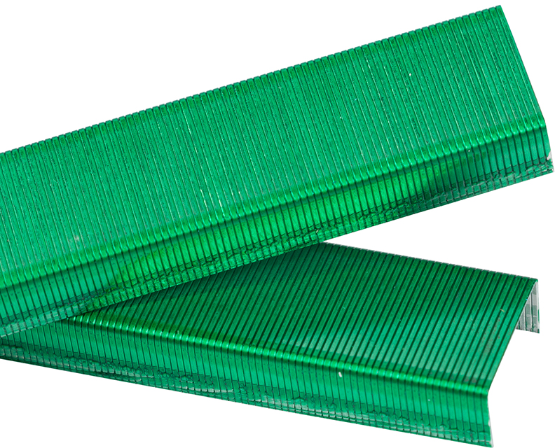 Green Staples - 5,000 Box
